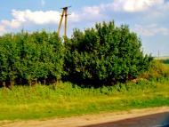 Бране Поле з panoramio.com