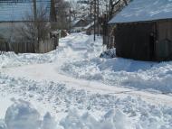 Саранчуки з panoramio.com