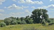Вільхівка з panoramio.com - Вільхівка