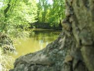 Передільське з panoramio.com