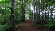 Букове з panoramio.com - Букове