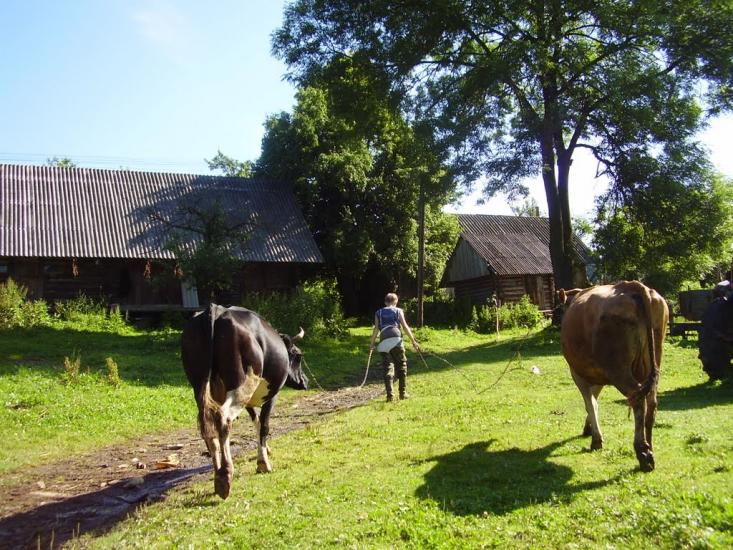 Орява з panoramio.com - Орява