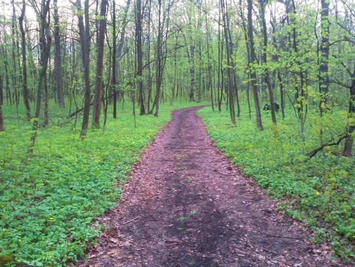 Нова Січ з panoramio.com - Новая Сечь