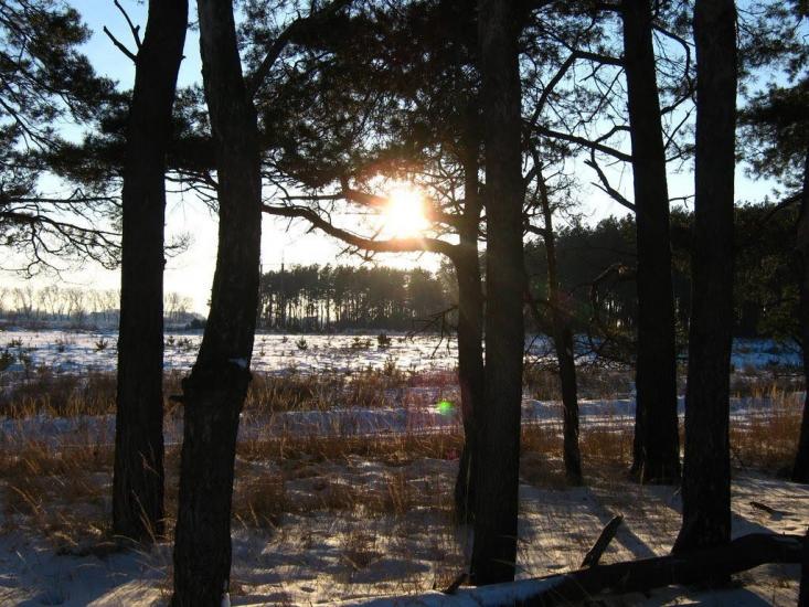 Велика Димерка з panoramio.com - Великая Дымерка