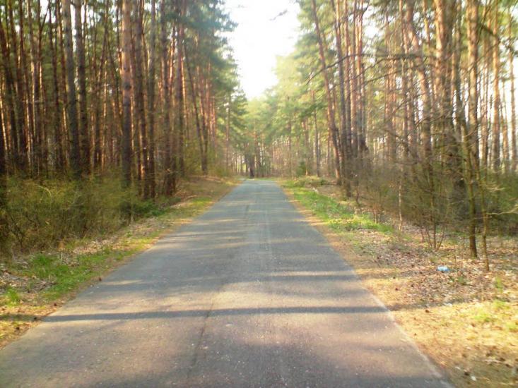 Лабурівка з panoramio.com - Лабуревка