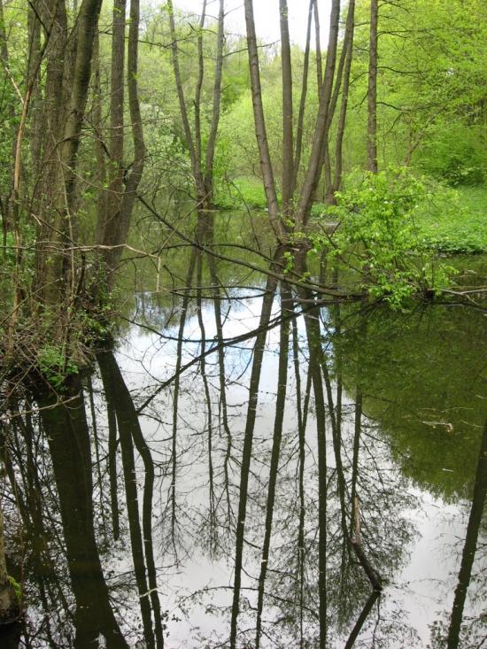 Хмільник з panoramio.com - Хмельник