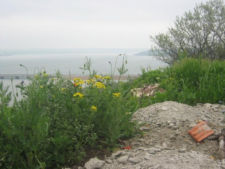 Алтестове з panoramio.com - Altestove