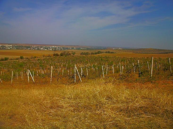 Віліне з panoramio.com - Віліне