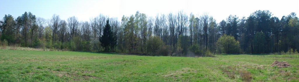 Рихальське з panoramio.com - Рыхальское