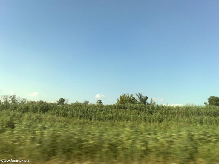Балабине з panoramio.com - Балабино
