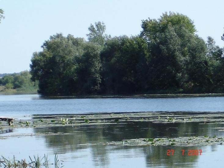 Джулинка з panoramio.com - Джулинка