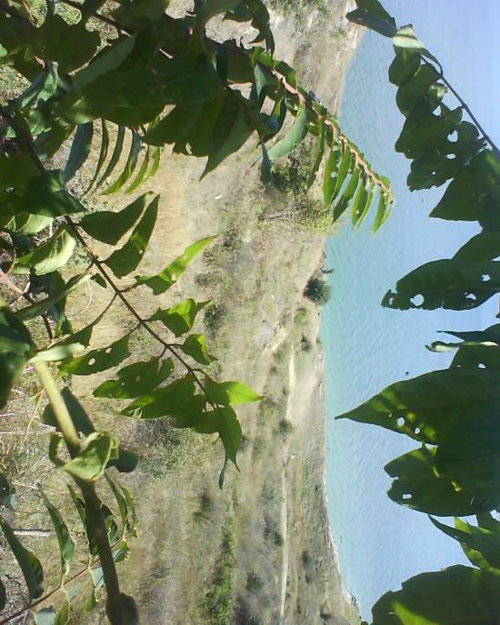 Холодна Балка з panoramio.com - Холодная Балка