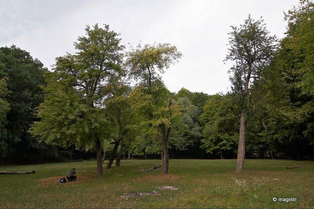Бабаї з panoramio.com - Бабаи