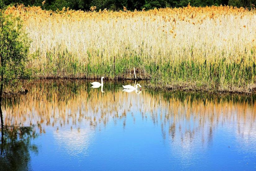 Самсонове з panoramio.com - Самсоново