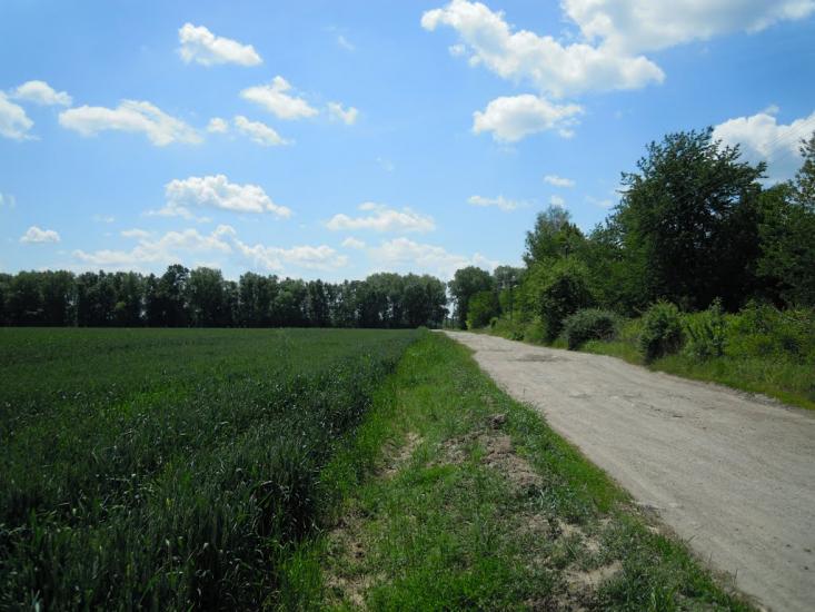 Грижинці з panoramio.com - Грижинці