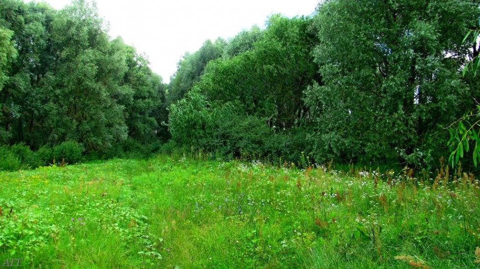 Кураш з panoramio.com - Кураш