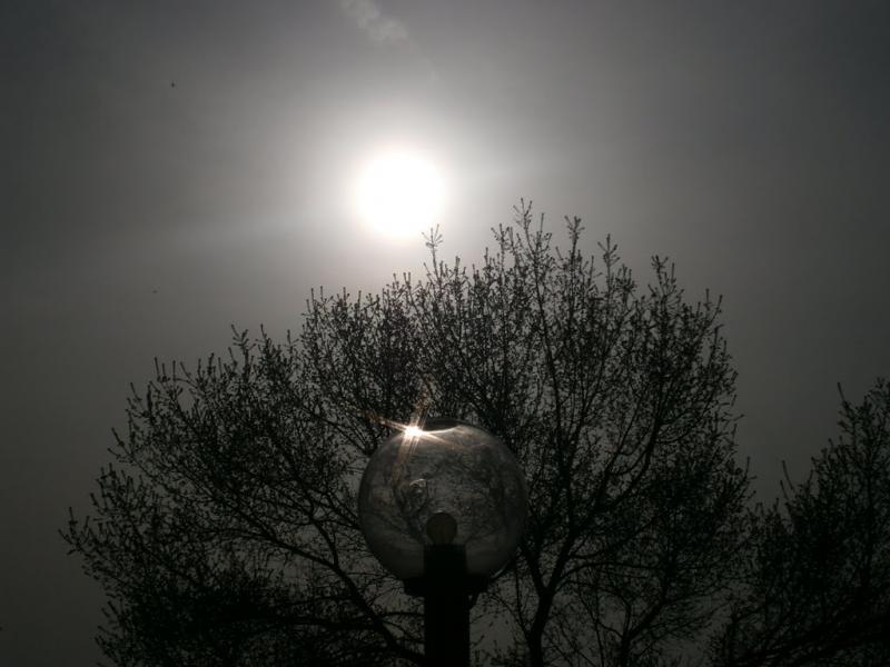 Полонка з panoramio.com - Полонка