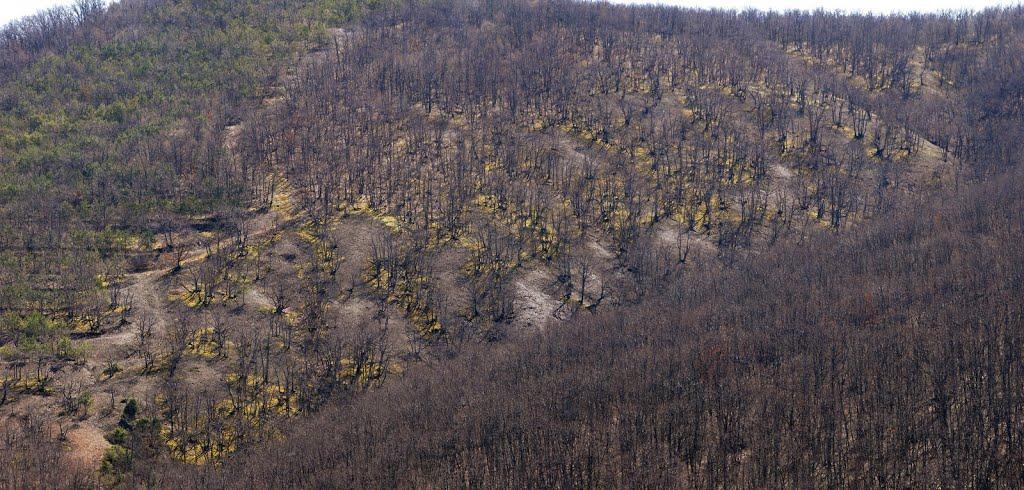 Ізобільне з panoramio.com - Изобильное