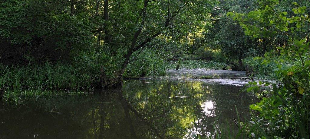 Іванковичі з panoramio.com - Иванковичи
