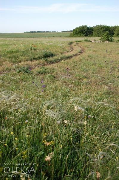 Вікторівка з panoramio.com - Викторовка