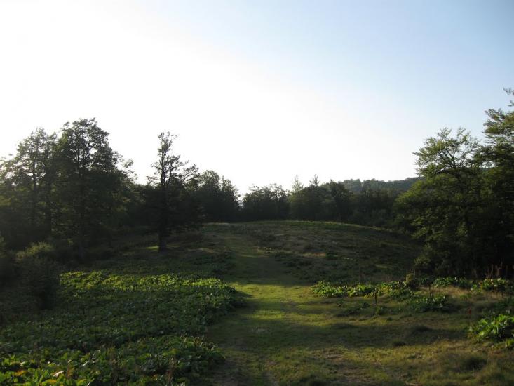 Усть-Чорна з panoramio.com - Усть-Чорна