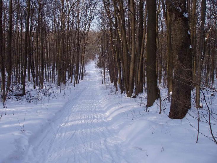 Бездрик з panoramio.com - Бездрик
