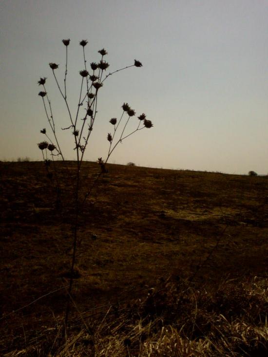 Великий Омеляник з panoramio.com - Великий Омеляник