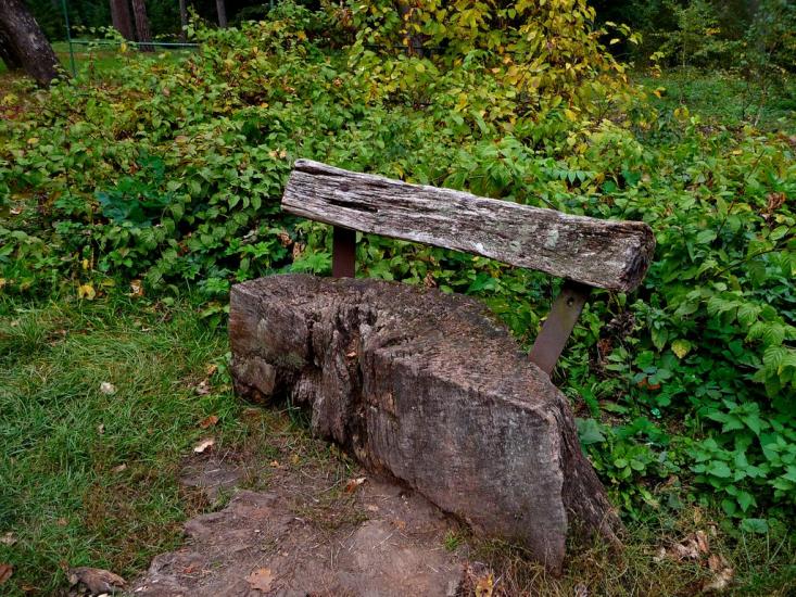 Васьківці з panoramio.com - Васьковцы