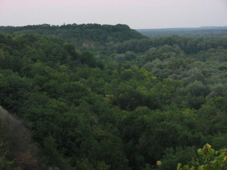 Правобережна Сокілка з panoramio.com - Правобережна Сокілка