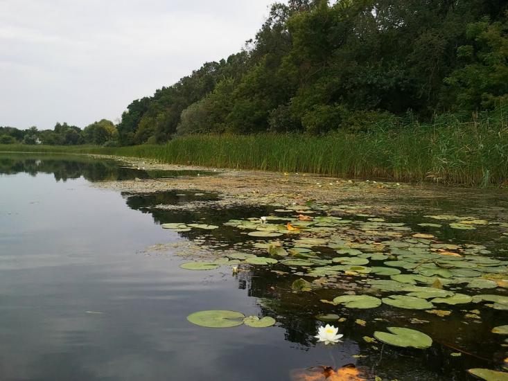 Усть-Лип'янка з panoramio.com - Усть-Липянка