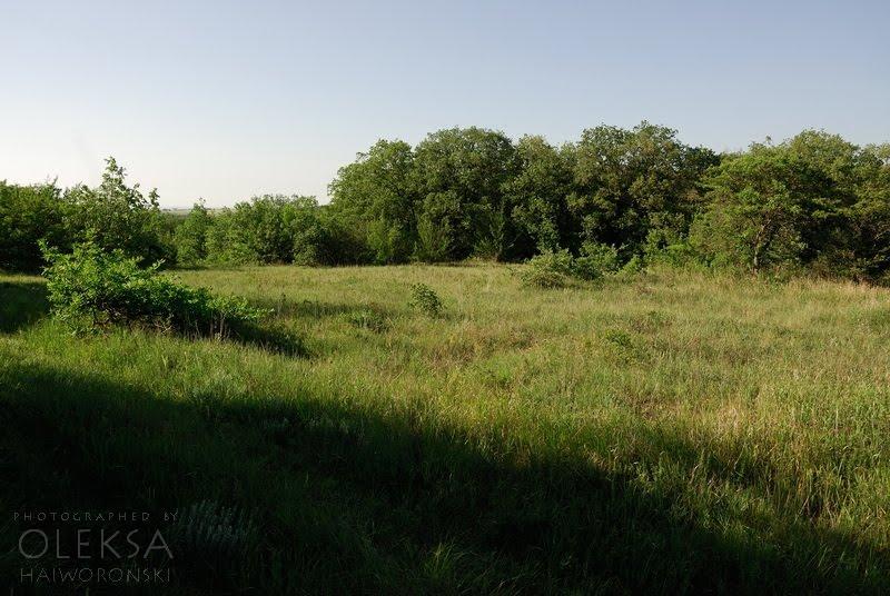 Вікторівка з panoramio.com - Викторовка