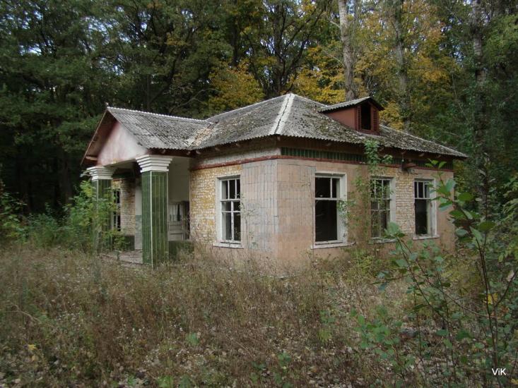 Зайченки з panoramio.com - Зайченки