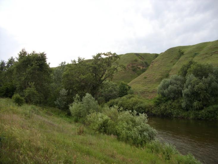 Заможнє з panoramio.com - Zamozhnye