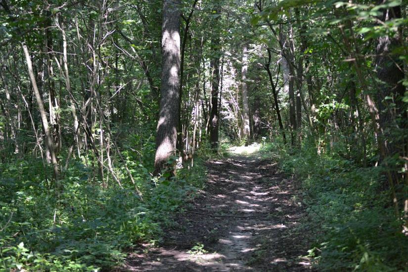 Грабовське з panoramio.com - Грабовское