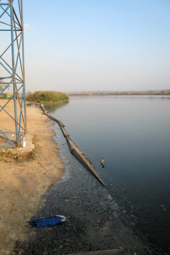 Щастя з panoramio.com - Счастье