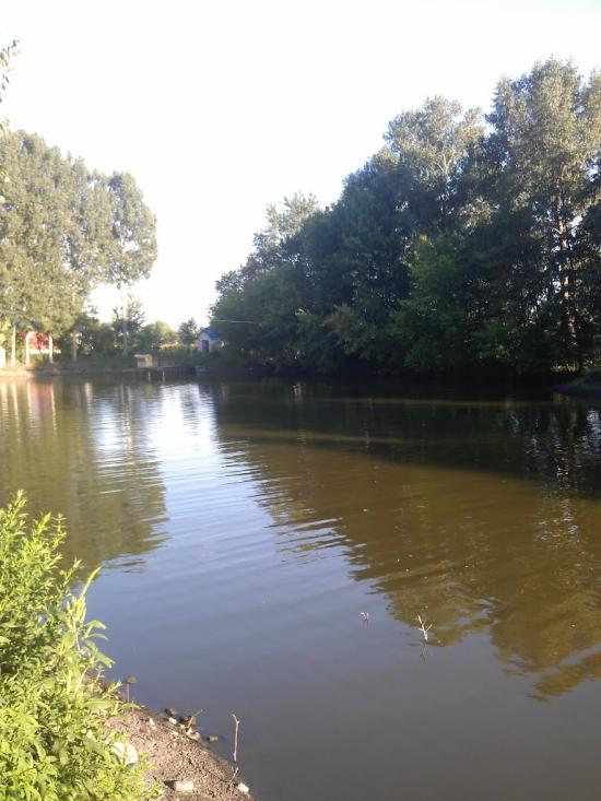 Великі Крушлинці з panoramio.com - Velyki Krushlyntsi
