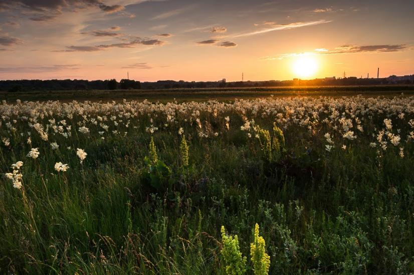 Єньків з panoramio.com - Еньков
