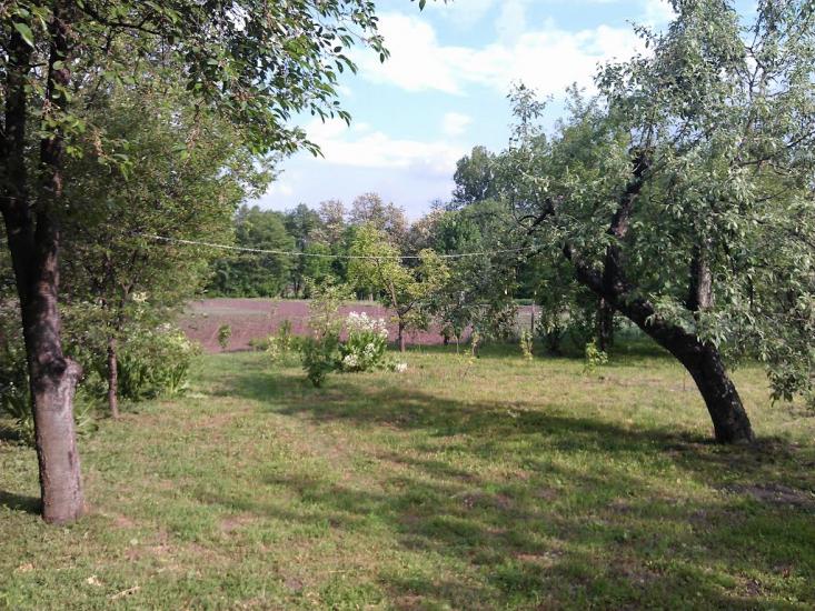 Великі Крушлинці з panoramio.com - Velyki Krushlyntsi
