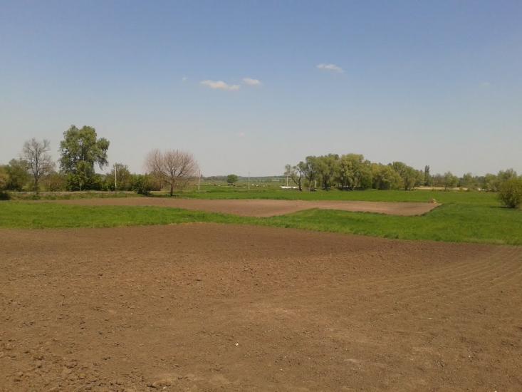 Пологи-Яненки з panoramio.com - Пологи-Яненки