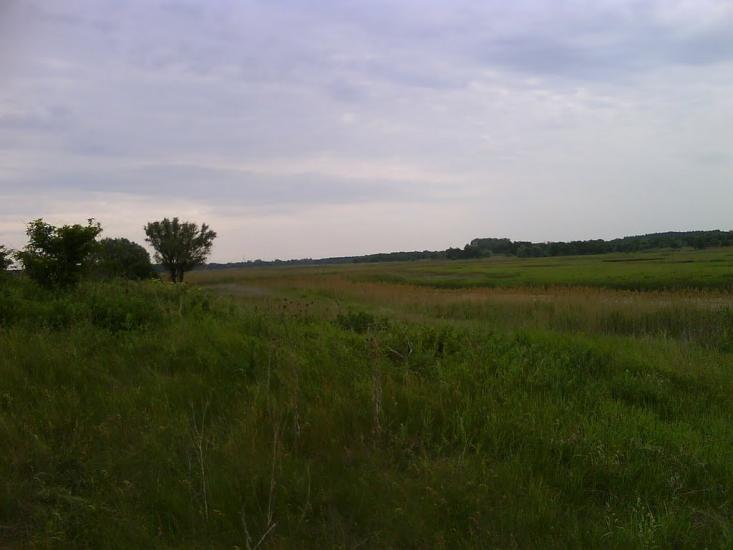 Усть-Лип'янка з panoramio.com - Усть-Липянка