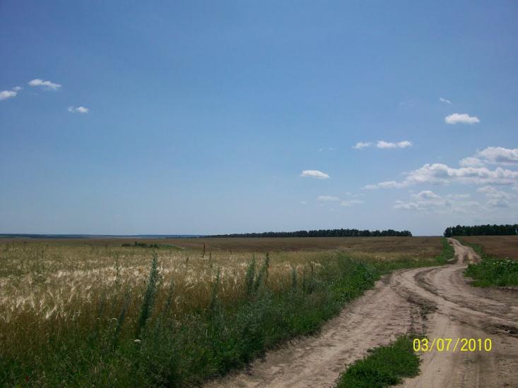 Михайлівка з panoramio.com - Михайлівка