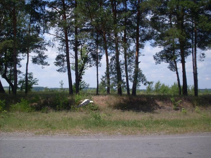 Рахни з panoramio.com - Рахны