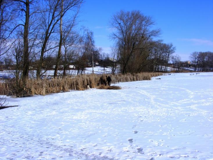 Жашків з panoramio.com - Жашков