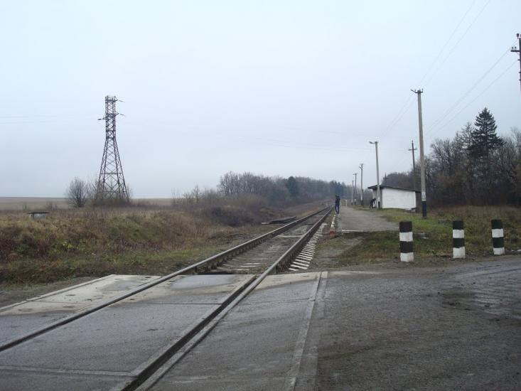 Кузьмин з panoramio.com - Кузьмин