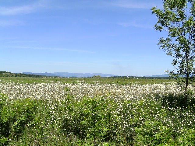 Нижній Коропець з panoramio.com - Нижній Коропець