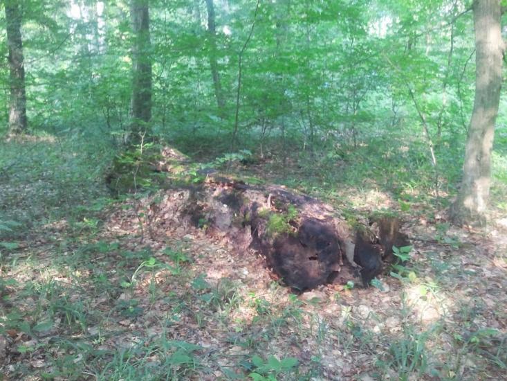 Слов'ятин з panoramio.com - Slovyatyn