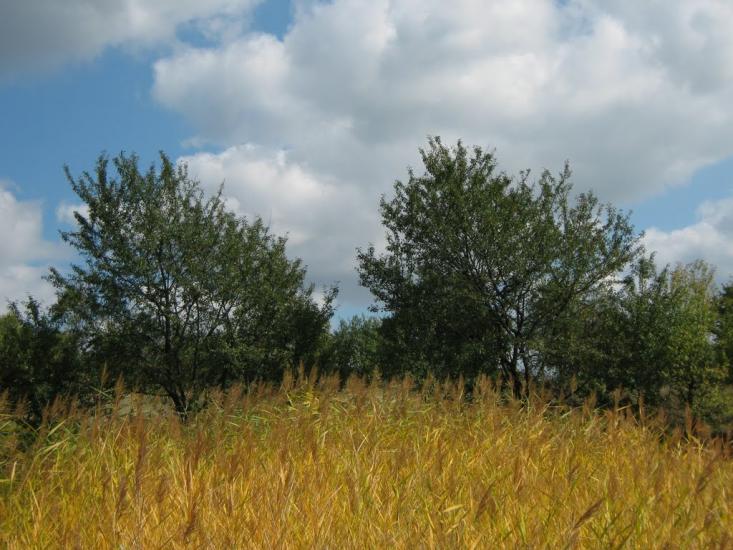 Дебеславці з panoramio.com - Дебеславцы