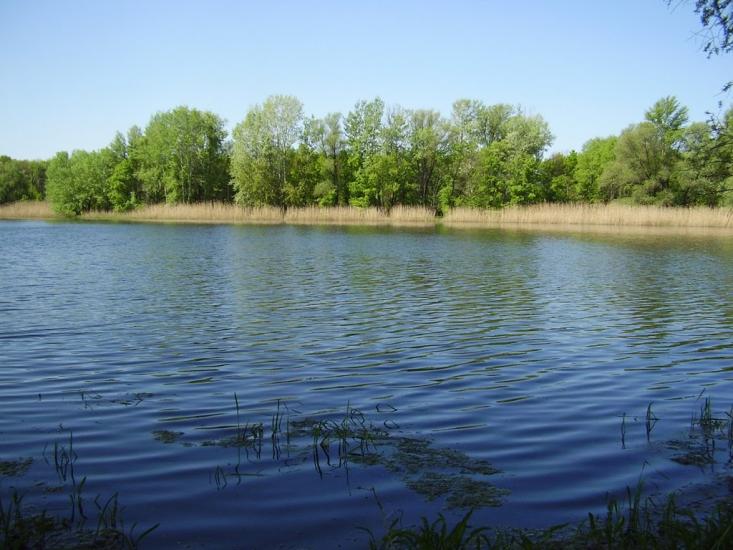 Рубіжне з panoramio.com - Рубіжне