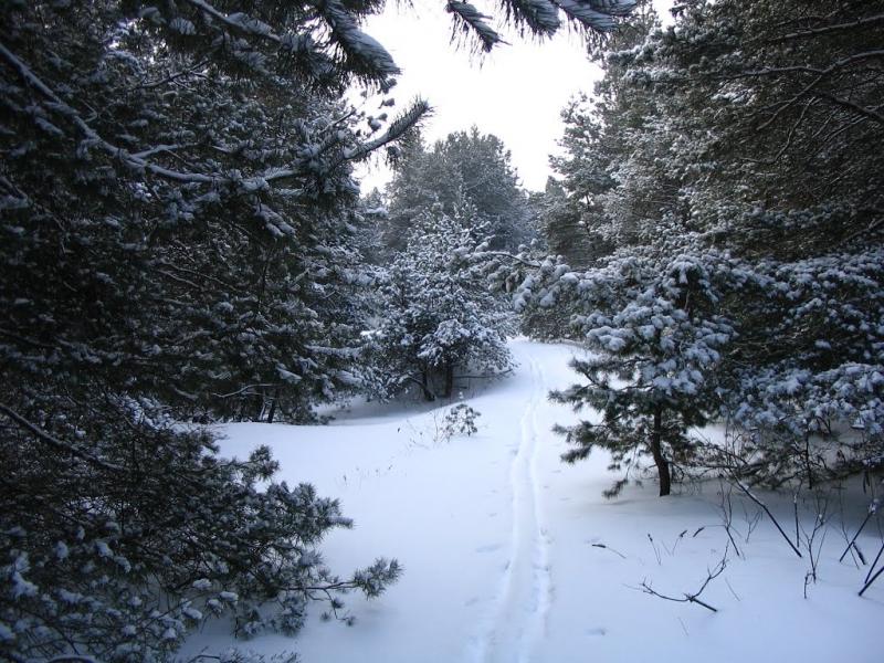 Горянівське з panoramio.com - Горянівське