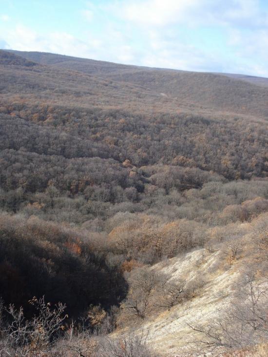 Овражки з panoramio.com - Овражки